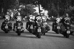 Black Dogs LE MC
